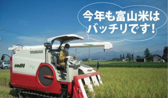 富山米こしひかり みやの穂【玄米】 3kg | 日本全国各地のお取り寄せモール風土jp