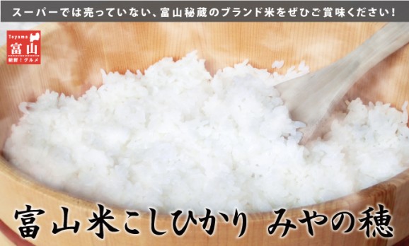富山米こしひかり みやの穂【玄米】 3kg | 日本全国各地のお取り寄せモール風土jp