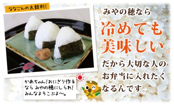 富山米こしひかり みやの穂【玄米】 3kg | 日本全国各地のお取り寄せモール風土jp