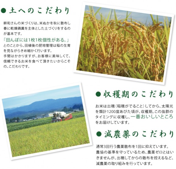 富山米こしひかり みやの穂【玄米】 3kg | 日本全国各地のお取り寄せモール風土jp