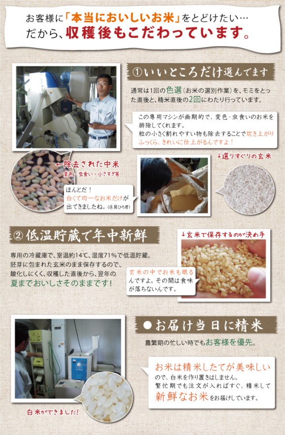 富山米こしひかり みやの穂【玄米】 3kg | 日本全国各地のお取り寄せモール風土jp