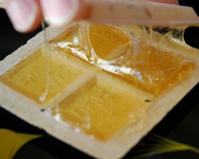 南部あめせんべい【小箱】 | 日本全国各地のお取り寄せモール風土jp