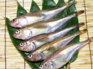 子持はたはた(ぶりこはたはた) | 日本全国各地のお取り寄せモール風土jp