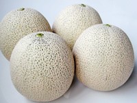 マスク美人メロン・2玉セット | 日本全国各地のお取り寄せモール風土jp