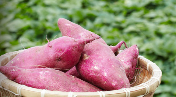 【冷凍】大学いも(1箱 500g入り) | 日本全国各地のお取り寄せモール風土jp