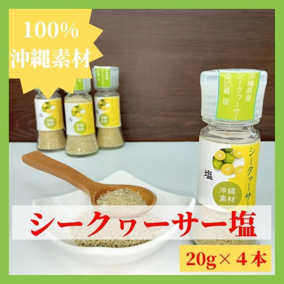 送料無料】シークヮーサー塩 20gx4本 沖縄県産調味料 浜比嘉島塩 無
