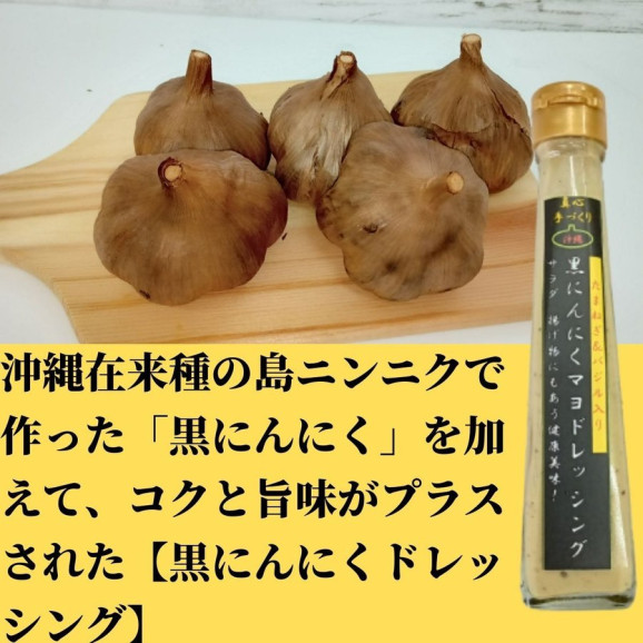 【送料無料】黒にんにくマヨドレッシング 120ml 6本 沖縄 | 日本全国各地のお取り寄せモール風土jp