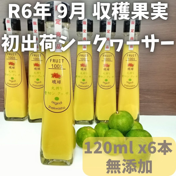 ̵۲츩ڤꥷ̽ 120ml 6ܥå  | ϤΤ󤻥⡼jp