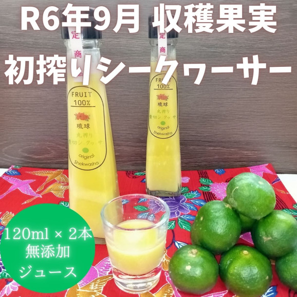 ̵۲츩 ڤꥷ̽ 120ml 2ܥå  | ϤΤ󤻥⡼jp