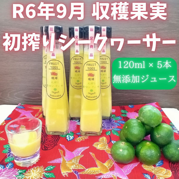 ̵۲츩 ڤꥷ̽ 120ml 5ܥå | ϤΤ󤻥⡼jp