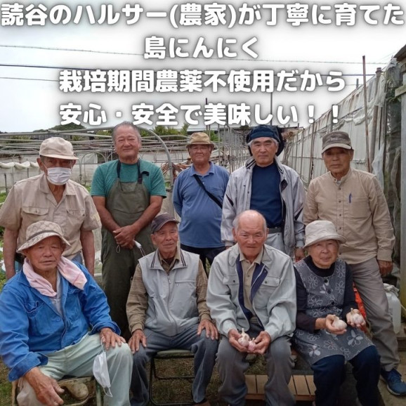 沖縄産 乾燥 島にんにく チップ 15g x 3袋 | 日本全国各地のお取り寄せモール風土jp