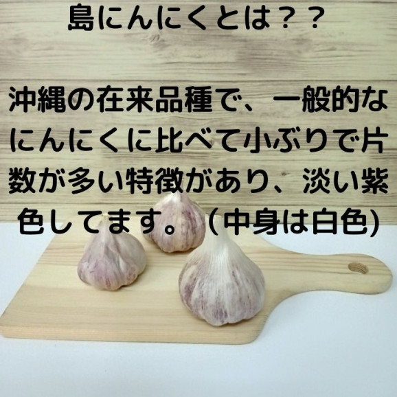 10回限定 最安値 沖縄県産 黒にんにく 50g x 2袋 無添加製法 | 日本全国各地のお取り寄せモール風土jp