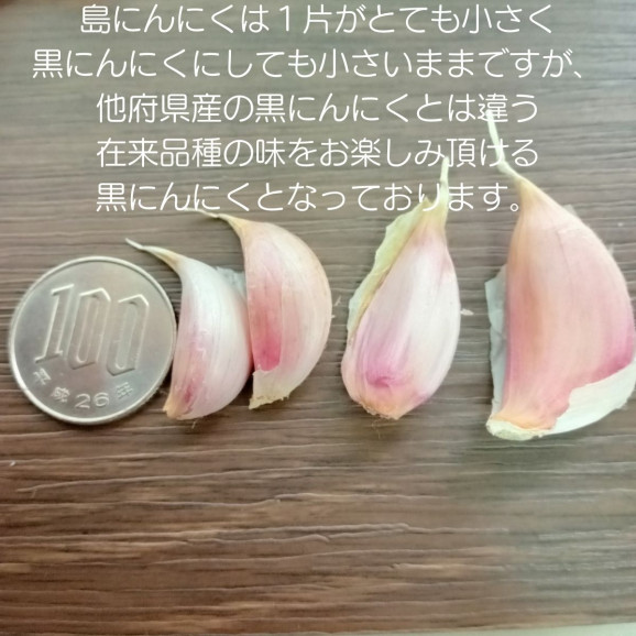 10回限定 最安値 沖縄県産 黒にんにく 50g x 2袋 無添加製法 | 日本全国各地のお取り寄せモール風土jp