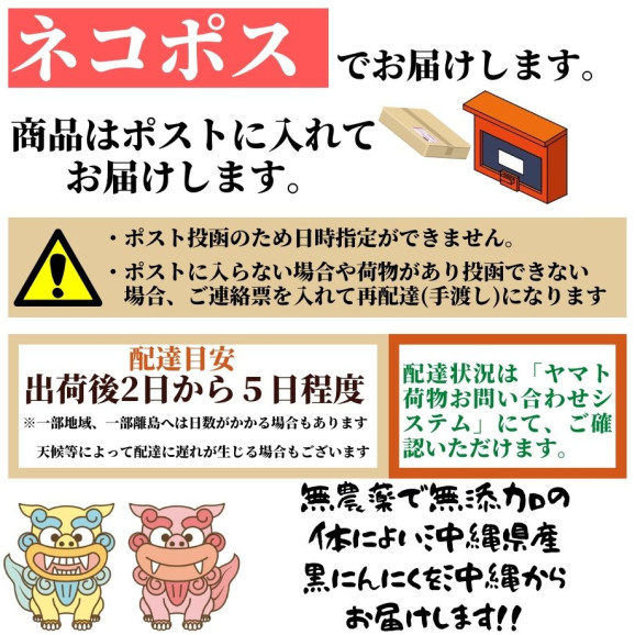 10回限定 最安値 沖縄県産 黒にんにく 50g x 2袋 無添加製法 | 日本全国各地のお取り寄せモール風土jp
