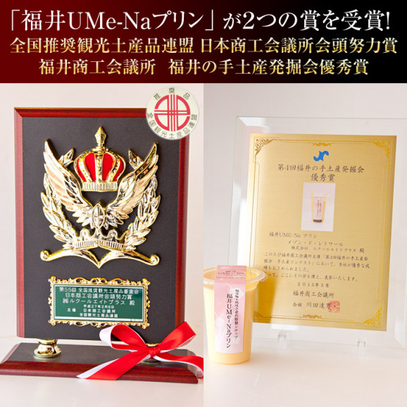 【夏季限定】プレミエルプディング12 | 日本全国各地のお取り寄せモール風土jp