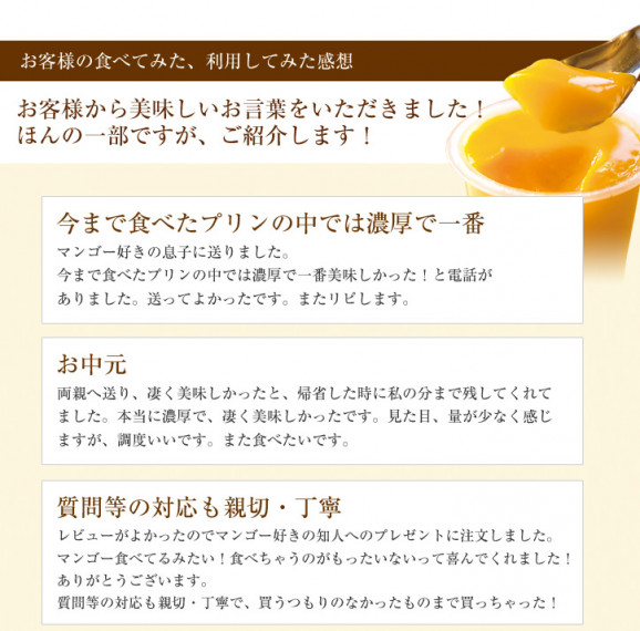 【送料無料】マンゴーの王様プリン(果肉入り)6個入り | 日本全国各地のお取り寄せモール風土jp