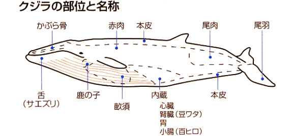 鼯λҡʤΤ90g | ϤΤ󤻥⡼jp