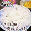 さらし鯨