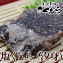 塩くじら(汐身)