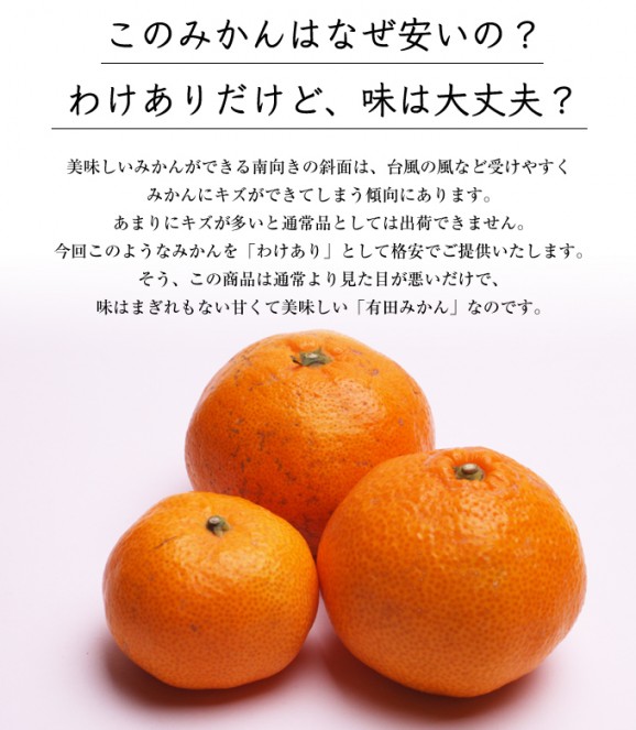 わけあり有田みかん 5kg | 日本全国各地のお取り寄せモール風土jp