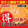 わけあり有田みかん 5kg 画像 | 日本全国各地のお取り寄せモール風土jp
