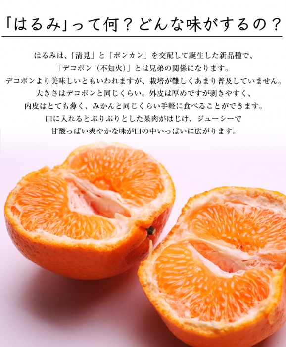 定番はるみ 2kg | 日本全国各地のお取り寄せモール風土jp