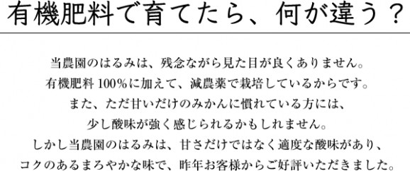 定番はるみ 2kg | 日本全国各地のお取り寄せモール風土jp