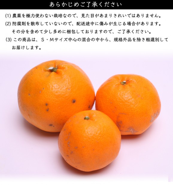 定番はるみ 2kg | 日本全国各地のお取り寄せモール風土jp