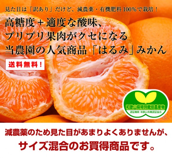 定番はるみ 2kg 画像 | 日本全国各地のお取り寄せモール風土jp