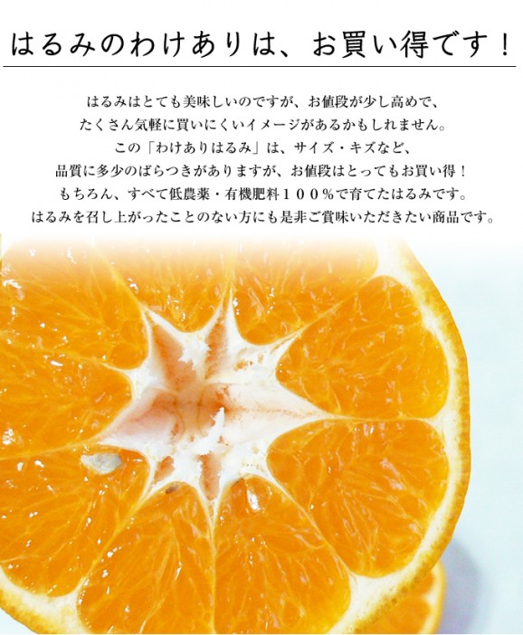 わけありはるみ 4kg | 日本全国各地のお取り寄せモール風土jp