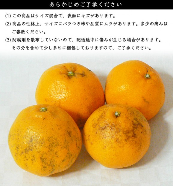 わけありはるみ 4kg | 日本全国各地のお取り寄せモール風土jp