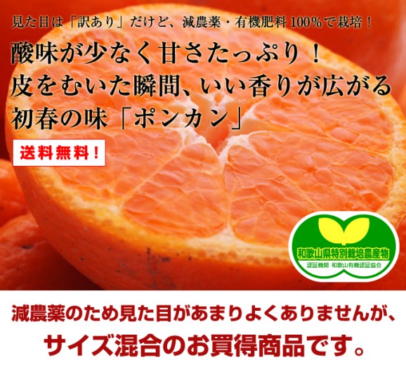 ポンカン 5kg 画像 | 日本全国各地のお取り寄せモール風土jp