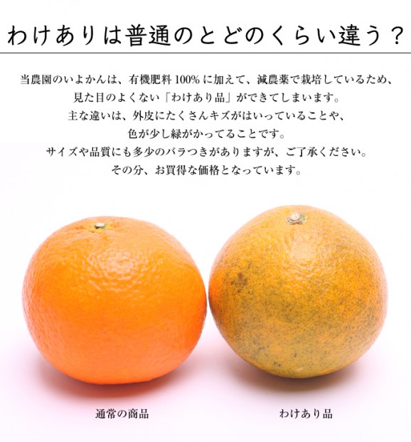 わけありいよかん(伊予柑)4kg | 日本全国各地のお取り寄せモール風土jp