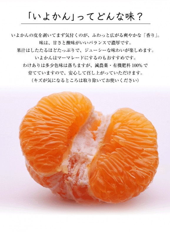 わけありいよかん(伊予柑)4kg | 日本全国各地のお取り寄せモール風土jp