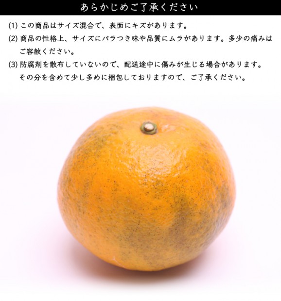 わけありいよかん(伊予柑)4kg | 日本全国各地のお取り寄せモール風土jp