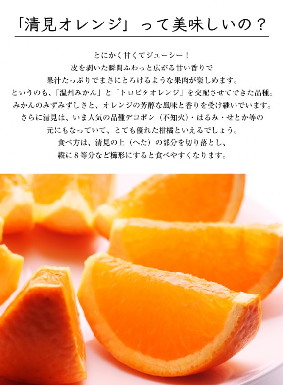 特選清見オレンジ 2kg | 日本全国各地のお取り寄せモール風土jp