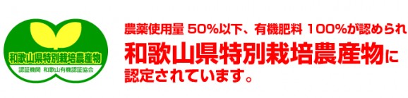 特選清見オレンジ 2kg | 日本全国各地のお取り寄せモール風土jp