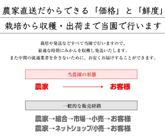 特選清見オレンジ 2kg | 日本全国各地のお取り寄せモール風土jp