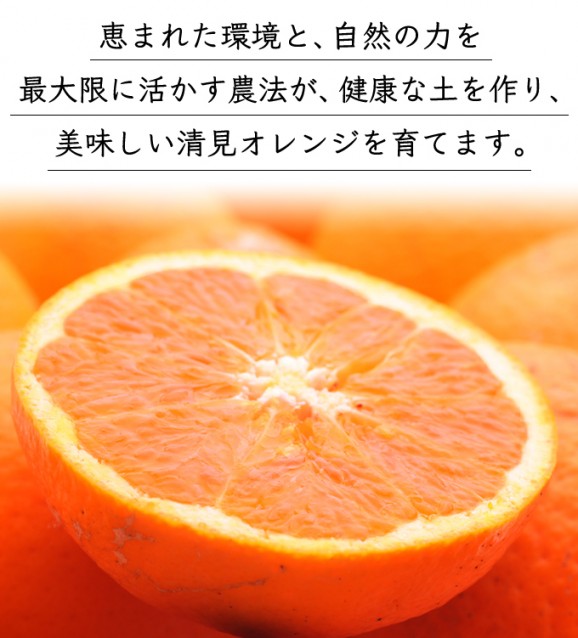 特選清見オレンジ 2kg | 日本全国各地のお取り寄せモール風土jp
