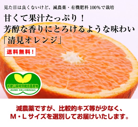  2kg  | ϤΤ󤻥⡼jp