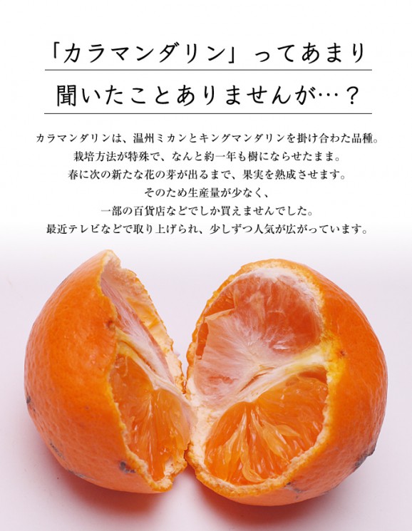 �櫓���ꥫ��ޥ����� 3kg | ����������ϤΤ����󤻥⡼������jp