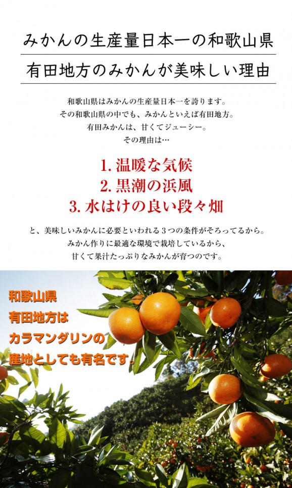 �櫓���ꥫ��ޥ����� 3kg | ����������ϤΤ����󤻥⡼������jp