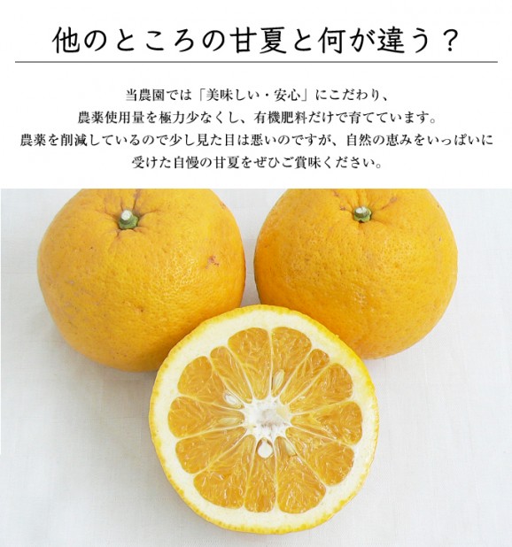 �Ų� 2kg | ����������ϤΤ����󤻥⡼������jp