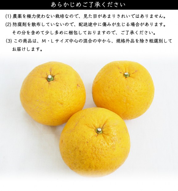 �Ų� 2kg | ����������ϤΤ����󤻥⡼������jp