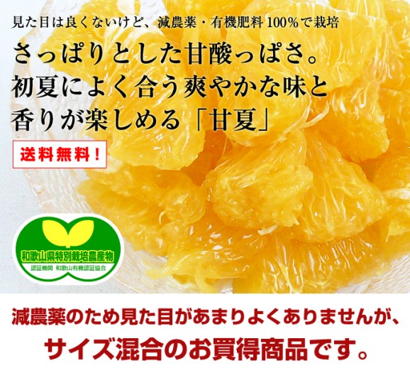 日本全国各地の名産品やお土産のお取り寄せモール 風土jp 日本全国各地の名産品やお土産のお取り寄せモール 風土jp