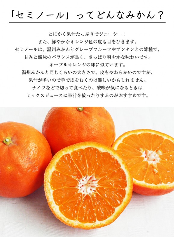 定番セミノール5kg | 日本全国各地のお取り寄せモール風土jp