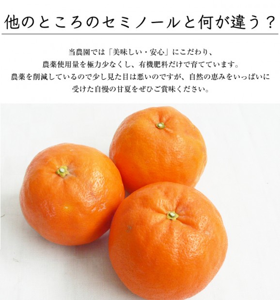 定番セミノール5kg | 日本全国各地のお取り寄せモール風土jp