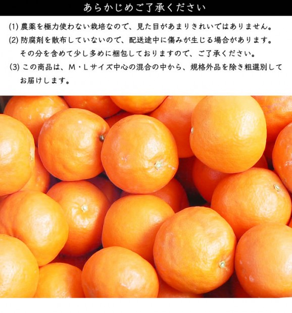 定番セミノール5kg | 日本全国各地のお取り寄せモール風土jp