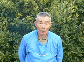 �ߤ���Ȫ����Τä�����˪̪ 600g | ����������ϤΤ����󤻥⡼������jp