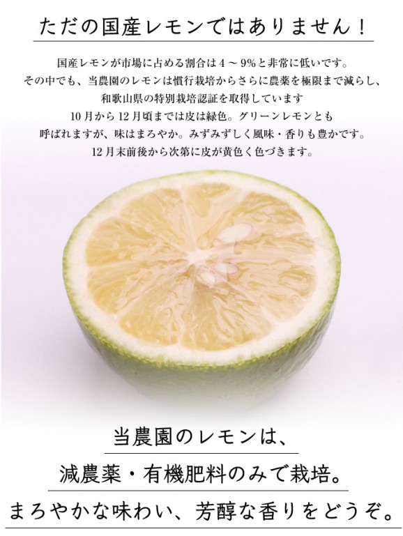 国産レモン 1kg(約5〜15個) | 日本全国各地のお取り寄せモール風土jp